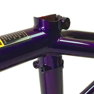 Рама Total Hangover H4 21 Blackberry